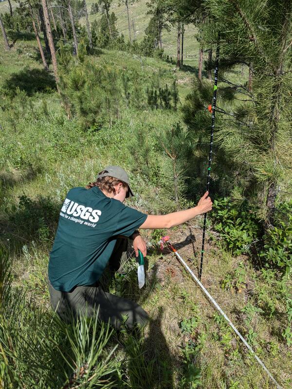 A woman takes forest measurements