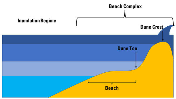 An illustration of a beach complex showing an "inudation regime" describes the frequency, duration, and depth of tidal or st