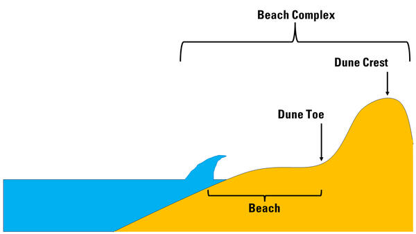 An illustration of the ocean, beach, dune and dune crest