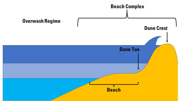 An illustration of a beach complex that show an "overwash regime," a storm impact that transports sand over the dune inland