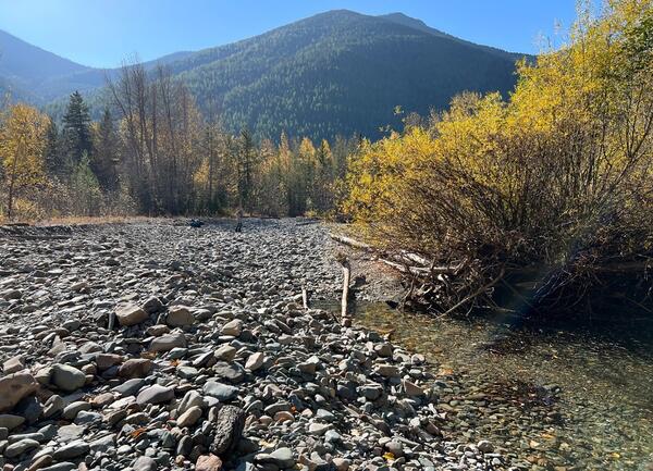 Dried riverbed, vegetation on riverbanks, and forested mountain in background