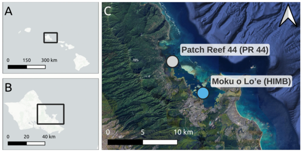 Study area - Impact of warming and suspended terrigenous sediment on the Hawaiian reef coral Montipora capitata