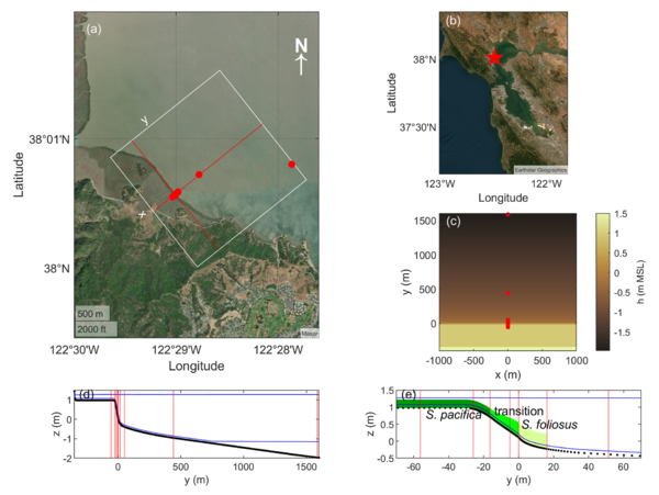 Figure showing satellite image of China Camp marsh with model boundaries