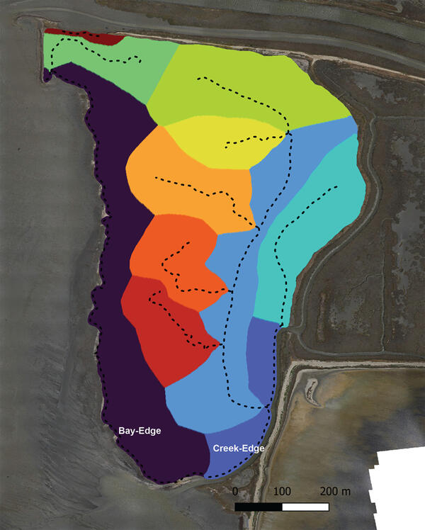 Figure showing surface of the Whales Tail Marsh colored to segment