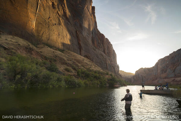 People fishing in the water and from a boat in the greenish waters of the Colorado River, Lees Ferry