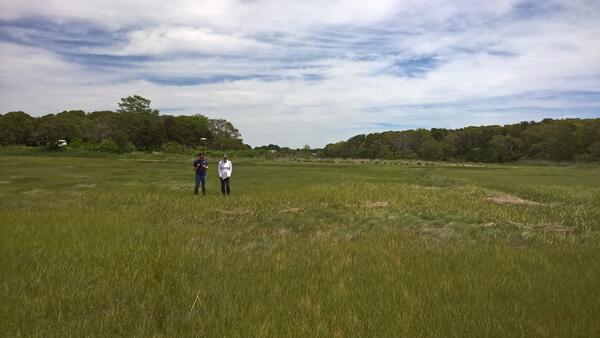 2 people standing in a green salt marsh under a cloudy sky