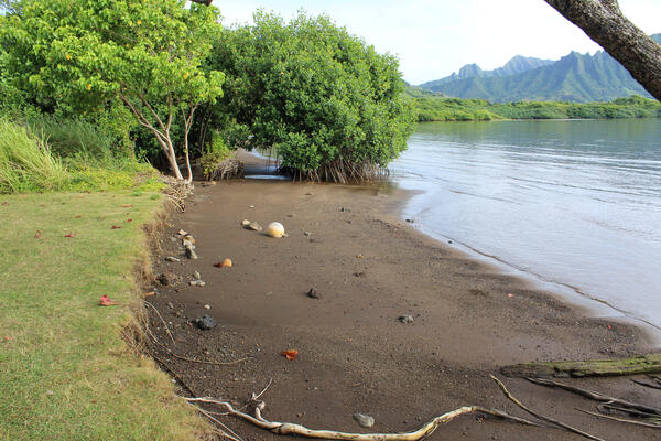A grassy area and small beach next to a calm ocean with green mountains in the distance, in Hawaii