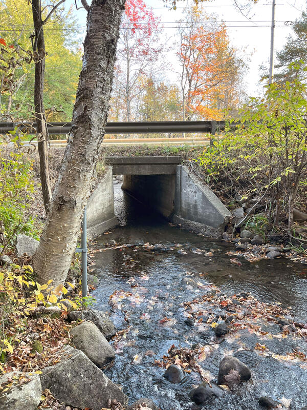 Waits River Tributary near West Topham, VT