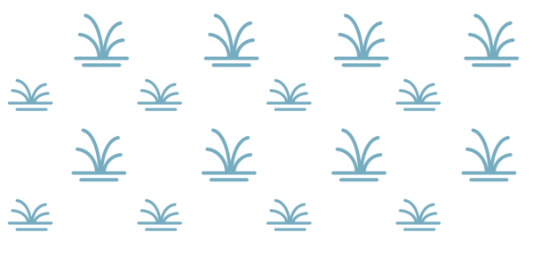 OnDemand - 25kRec - HYDRO - Wetland Emergent