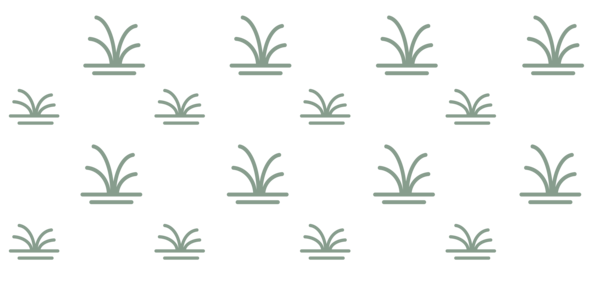 OnDemand - 25kRec - HYDRO - Wetland Forest