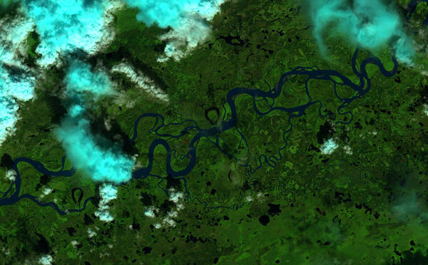 A satellite image of the Yukon River near Stevens Village, Alaska