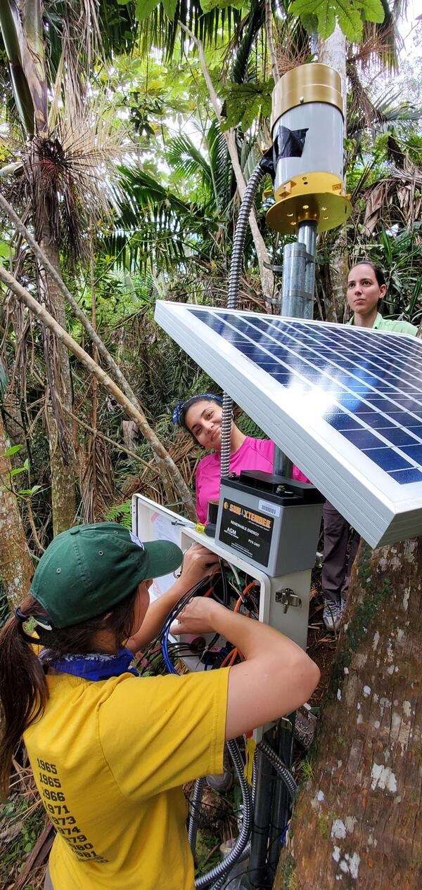 3 people installing a metal pole with solar panel and box among palm trees