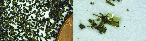 Color photographs of volcanic ash taken with a microscope