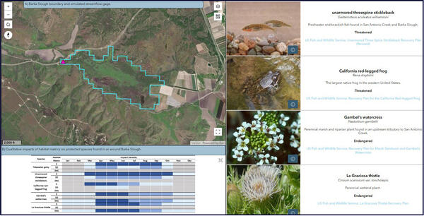 Impacts on biota in the Barka Slough area