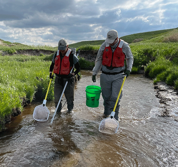 Graduate students electrofishing on Deer Creek in Nebraska
