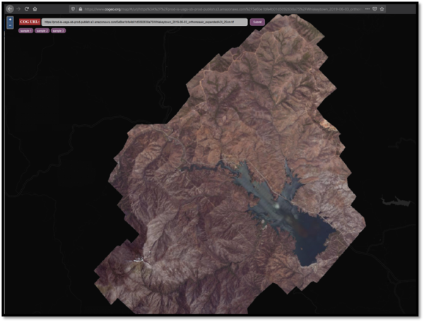 An image showing a dynamic view of a ScienceBase COG file, consumed directly from ScienceBase into an online viewer (www.cogeo.org).