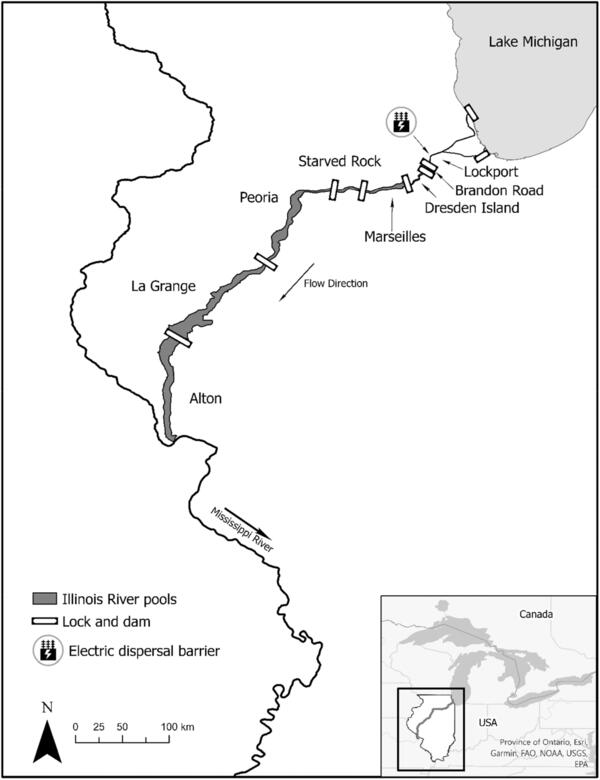 Map of Illinois River showing Spatially Explicit Invasive Carp Population model locations.