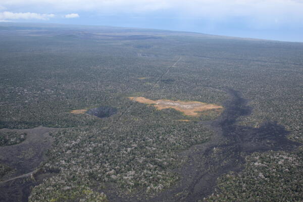 Color photograph of thermal area with yellow brown dead vegetation surrounded by green forest