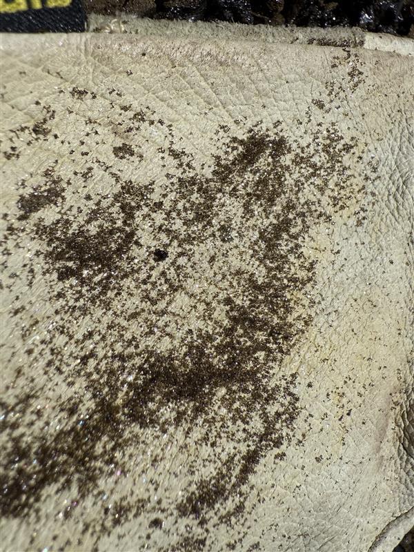 Color photograph of glove with volcanic glass material