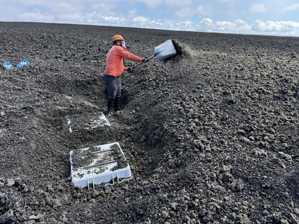Color photograph of person digging a box out of the ground