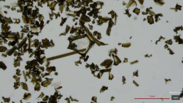 Color microscope photograph of ash