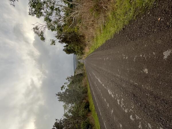 Color photograph of road covered with volcanic fallout