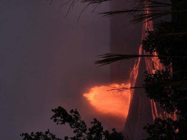 Color photograph of lava fountain at night with plants outlined in the foreground