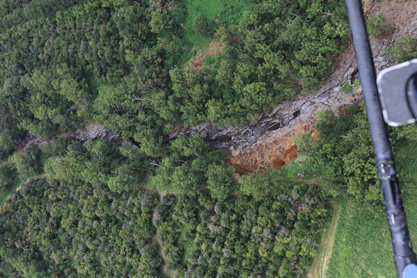 Color photograph of flood-scoured gulch surrounded by greenery