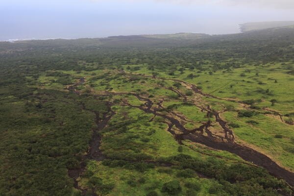 Color photograph of green pasture area with braided scours from flooding
