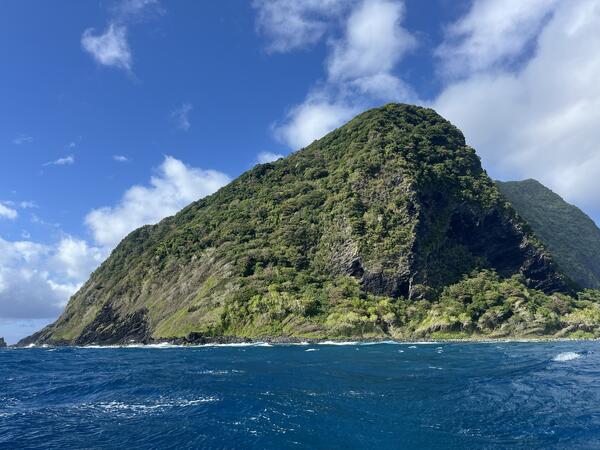Color photograph of vegetated island rising from ocean