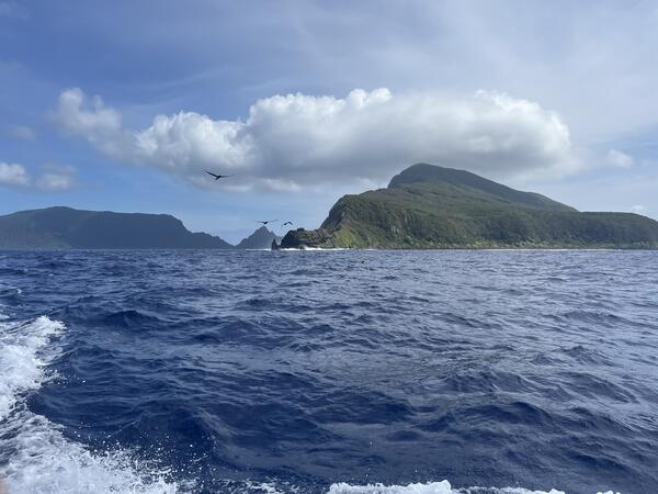 Color photograph of vegetated islnd rising from ocean