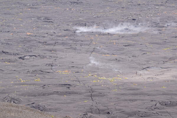 Color photograph of steaming ground crack