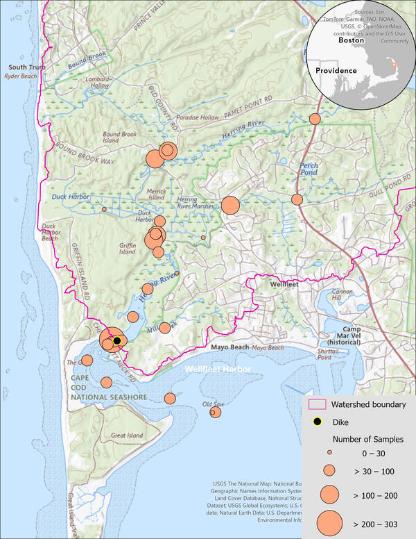Herring River estuary station locations