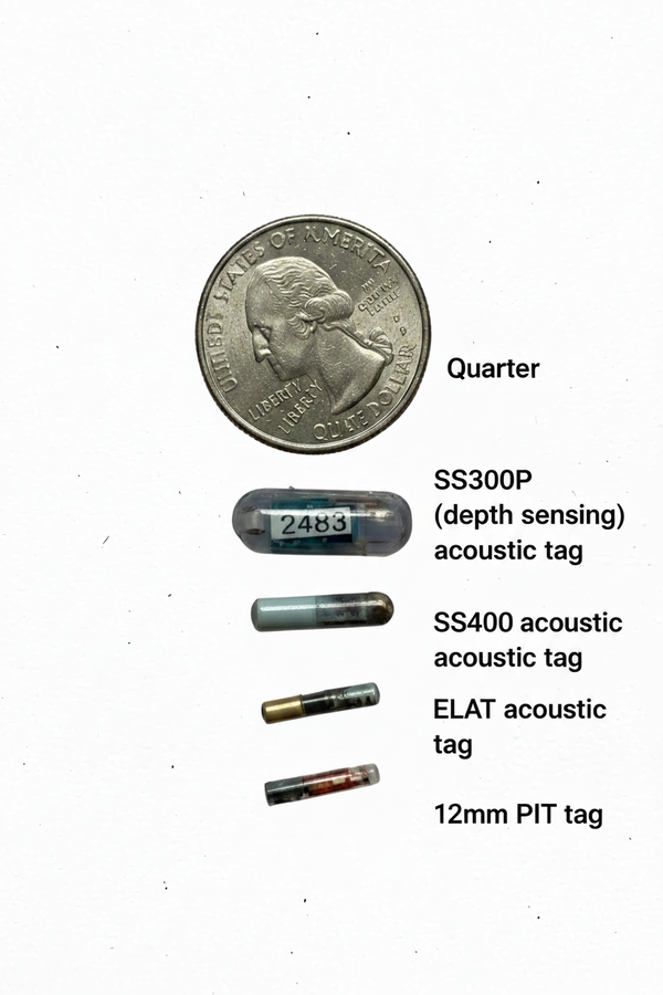Types of tags with size comparison to quarter coin