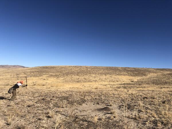 a man bringing an axe up over his head, standing in a large burned shrubland, blue skies above