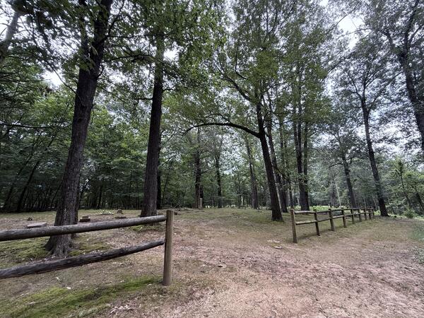 Cemetery with tall trees and a simple wooden rail fence running along a dirt and moss-covered ground