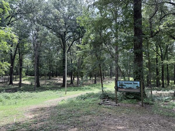 Forest trail with tall trees and a small wooden sign reading ‘Scott Cemetery Trail’ standing near the path