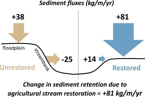 Flow chart of sediment fluxes