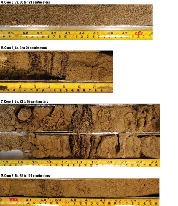 Photos showing segments of sediment cores with variation in texture and color