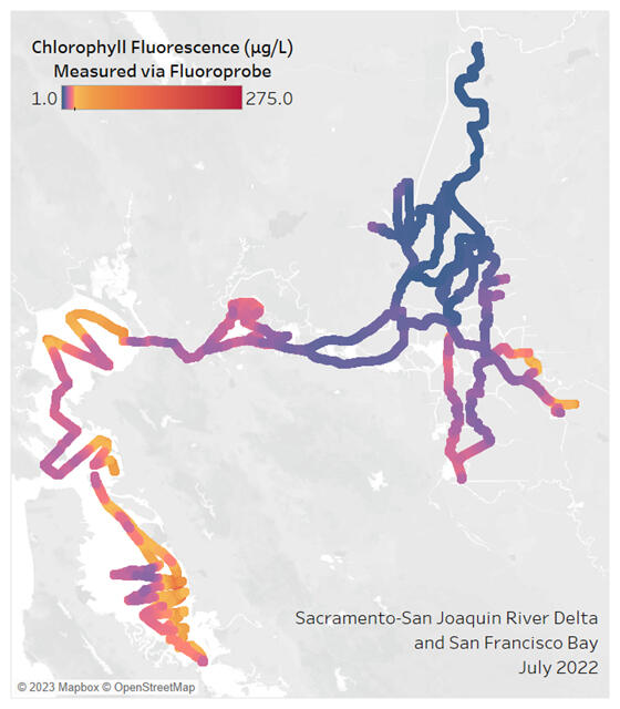 Map of survey locations where multiple fluorometers were run in tandem during July of 2022. Lines represent boat transects, colored by chlorophyll fluorescence (fChl)