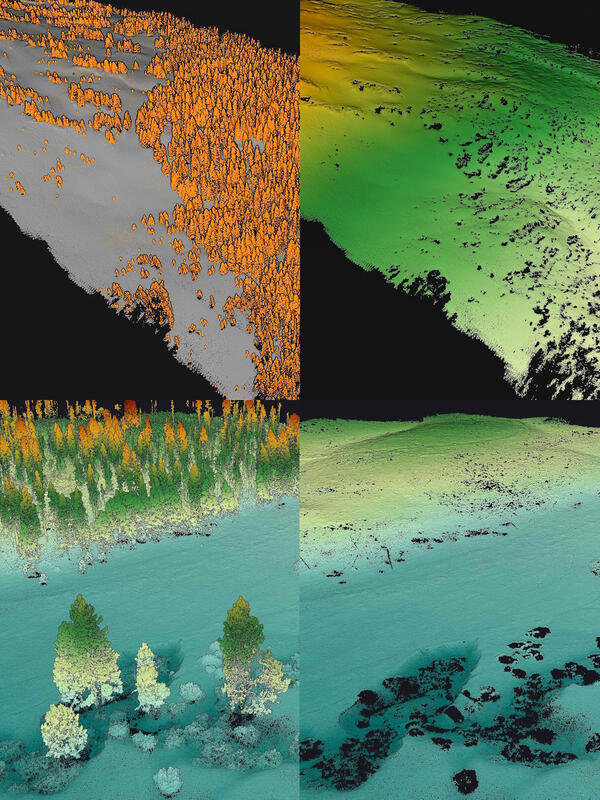 3D models derived from lidar point cloud data