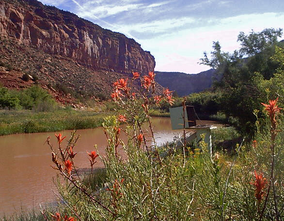 Picture of streamgage at Dolores River near Bedrock, CO