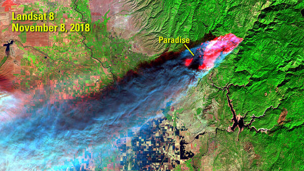 Landsat 8 image of California wildfires