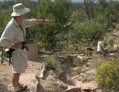 Dr. Craig Allen in the Frijolito research watershed, Bandelier National Monument, New Mexico.