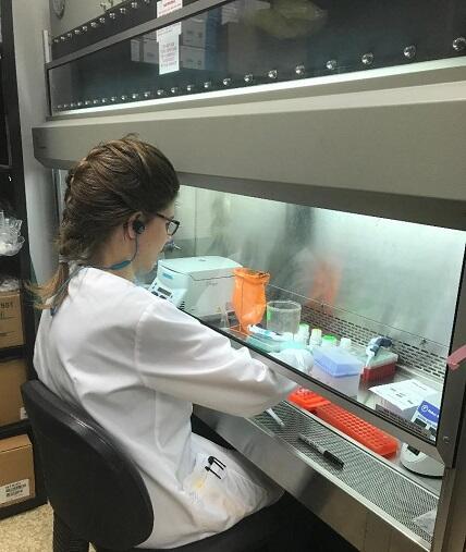 FHL extracts DNR n RNA