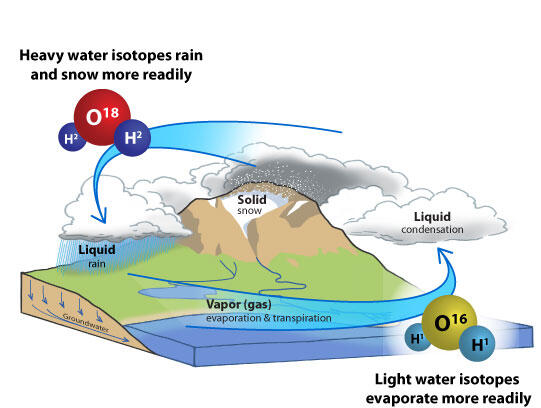 Diagram of water cycle incorporating different water isotopes