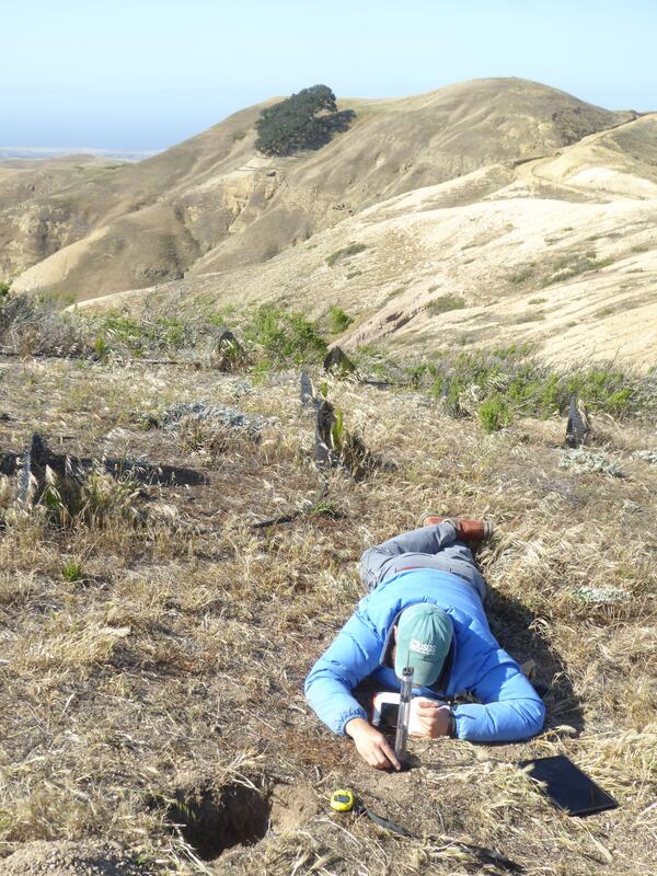 Geologist using instrument to measure soil infiltration