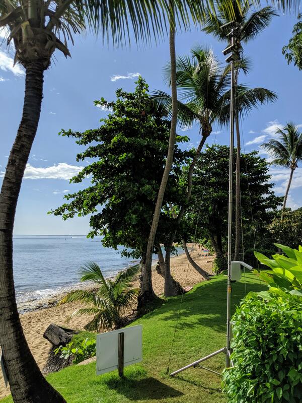 View looks to a beach from a grassy area with palm trees and a tall pole secured with guy wires, cameras are mounted at the top.