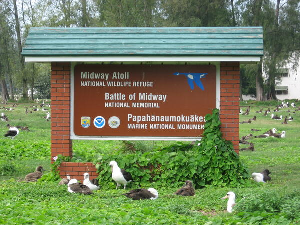 Midway Atoll