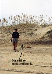 image of man and sand dune